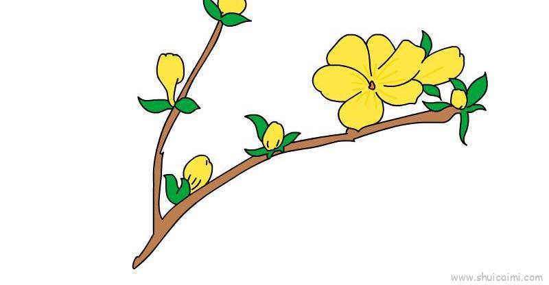 迎春花儿童画怎么画 迎春花简笔画步骤