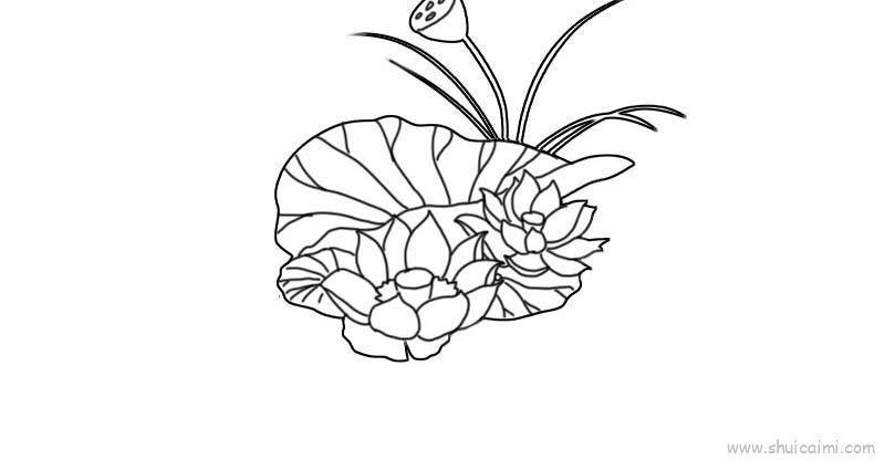 荷花儿童画怎么画 荷花简笔画简单