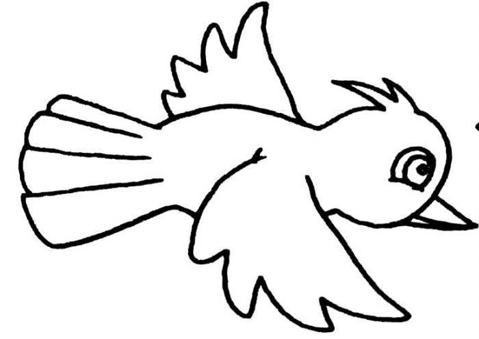 幼儿园画小鸟简笔画图片大全 小鸟的简笔画图片大全可爱 简单