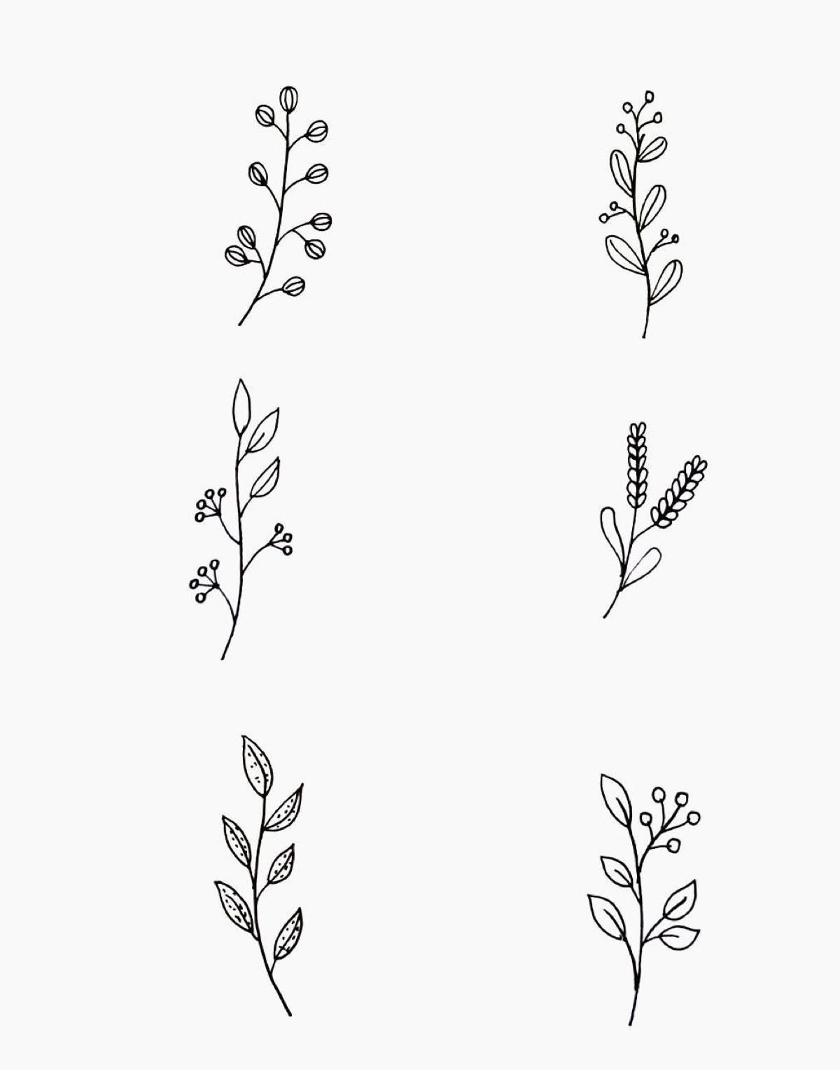 叶子简笔画 叶子简笔画彩色