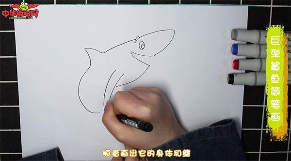 巨型鲨鱼怎么画 巨型鲨鱼简笔画简单又漂亮彩色