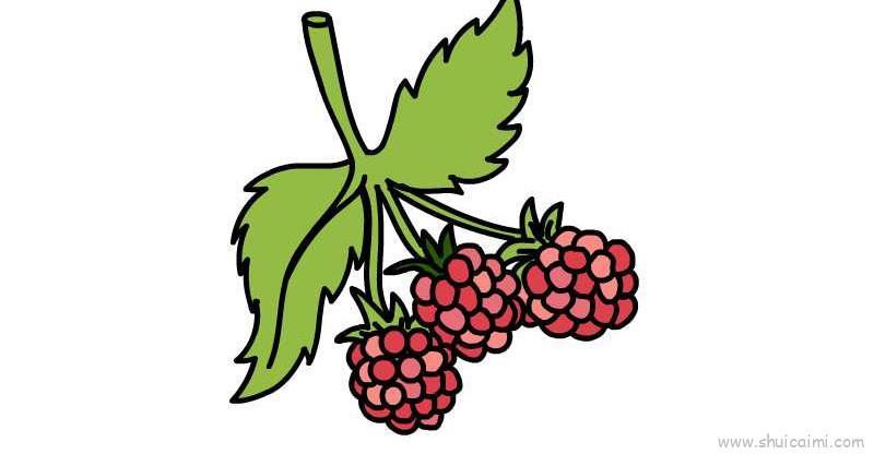 树莓儿童画怎么画 树莓简笔画好看