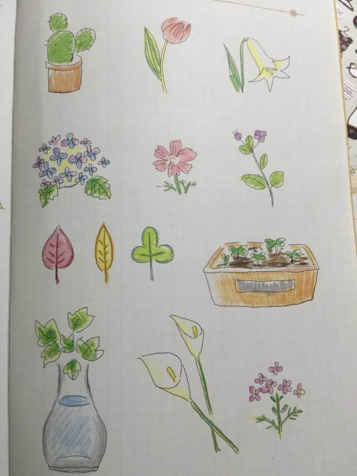 植物简笔画 植物简笔画大全花草树木