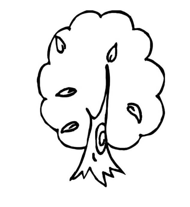 画树的简笔画图片大全 画树的简笔画图片大全带颜色