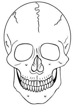 骷髅头简笔画 骷髅头简笔画可爱