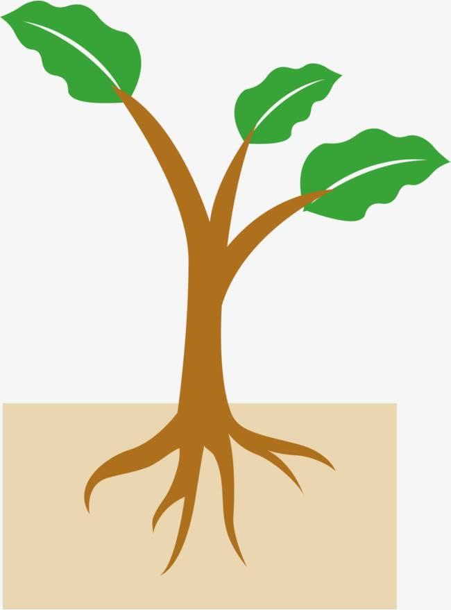 小树苗简笔画图片大全 小树苗简笔画图片大全彩色