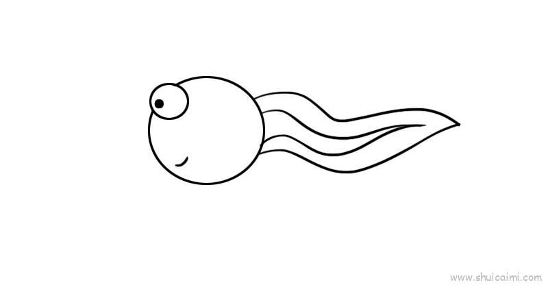 蝌蚪儿童画怎么画 蝌蚪简笔画画法