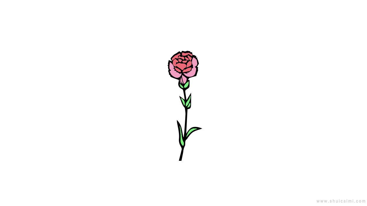 一束康乃馨简笔画怎么画 一束康乃馨简笔画顺序