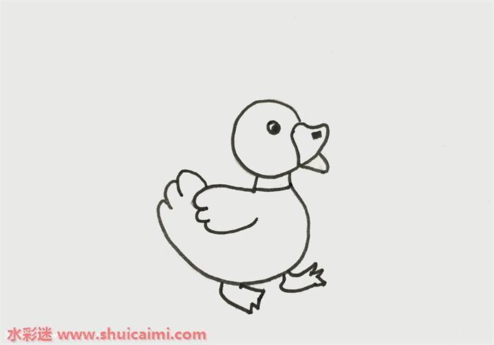 小鸭子怎么画 小鸭子简笔画步骤