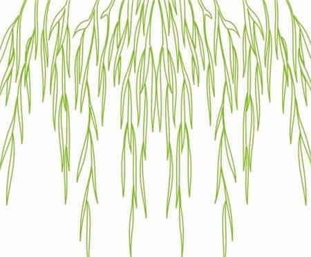 柳树简笔画图片大全 柳树简笔画图片大全大图简单