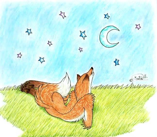 狐狸的夏天图片简笔画 彩色狐狸简笔画怎么画