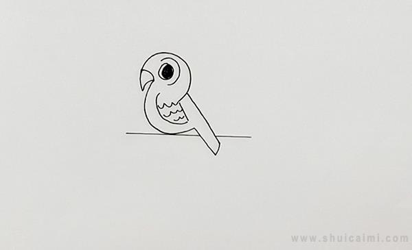 宠物鸟简笔画怎么画 宠物鸟简笔画顺序