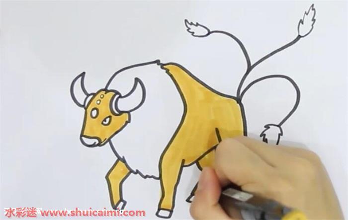 肯泰罗怎么画 肯泰罗简笔画漂亮