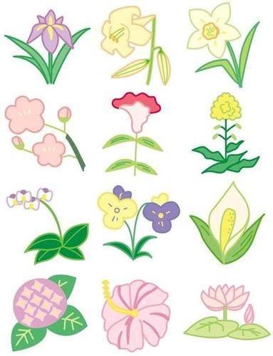 花简笔画 花简笔画彩色