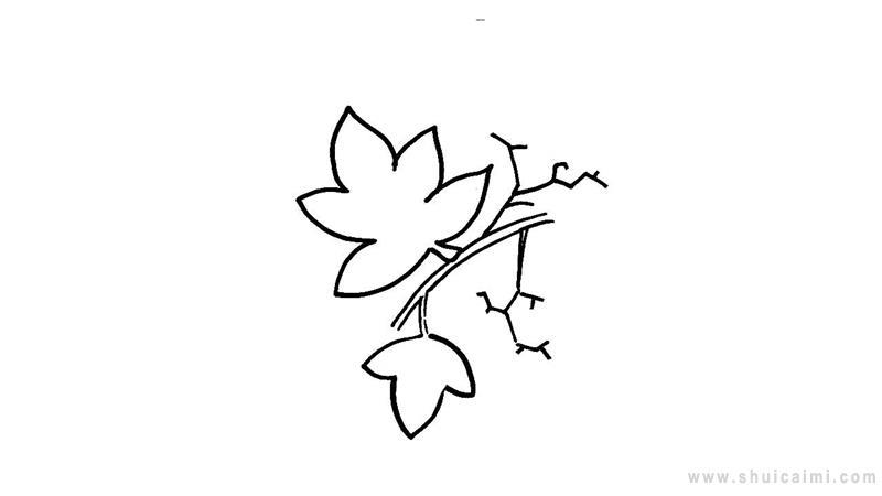 爬山虎简笔画怎么画 爬山虎简笔画步骤