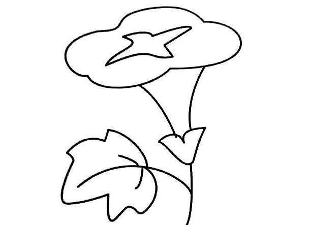 喇叭花简笔画 喇叭花简笔画图片大全