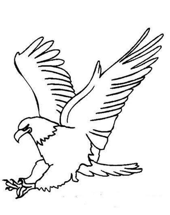 简笔画老鹰 小动物 简单 漂亮|儿童简笔画老鹰图片