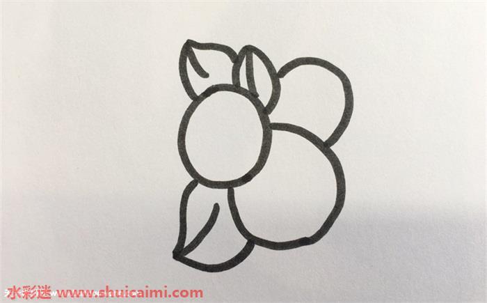 枇杷怎么画 枇杷简笔画简单易画彩色