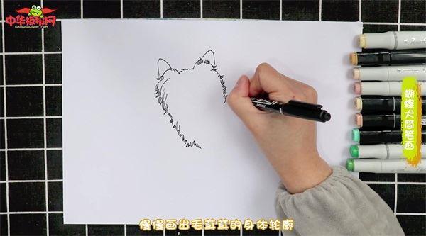蝴蝶犬怎么画 蝴蝶犬简笔画图片带颜色