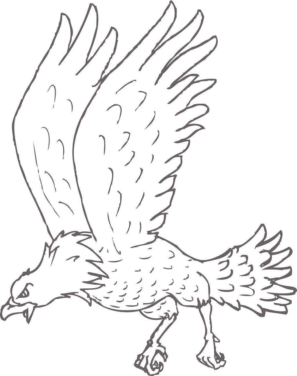 老鹰简笔画 老鹰简笔画简单