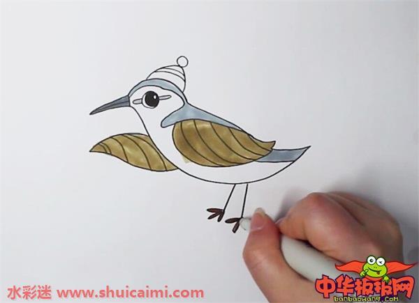 杜鹃鸟怎么画 杜鹃鸟简笔画步骤