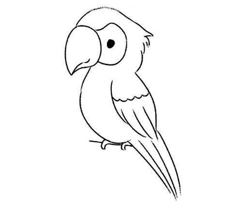 鹦鹉简笔画图片大全 鹦鹉简笔画图片大全可爱图片