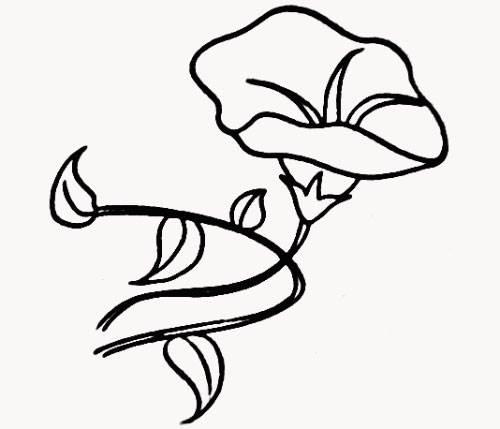 牵牛花简笔画 牵牛花简笔画图片