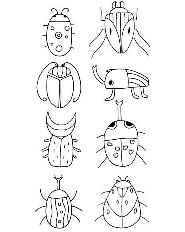 甲虫简笔画 金步甲虫简笔画