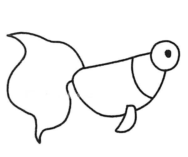 小金鱼简笔画 小金鱼简笔画彩色