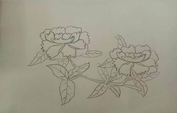 牡丹花简笔画 牡丹花简笔画简单又好看