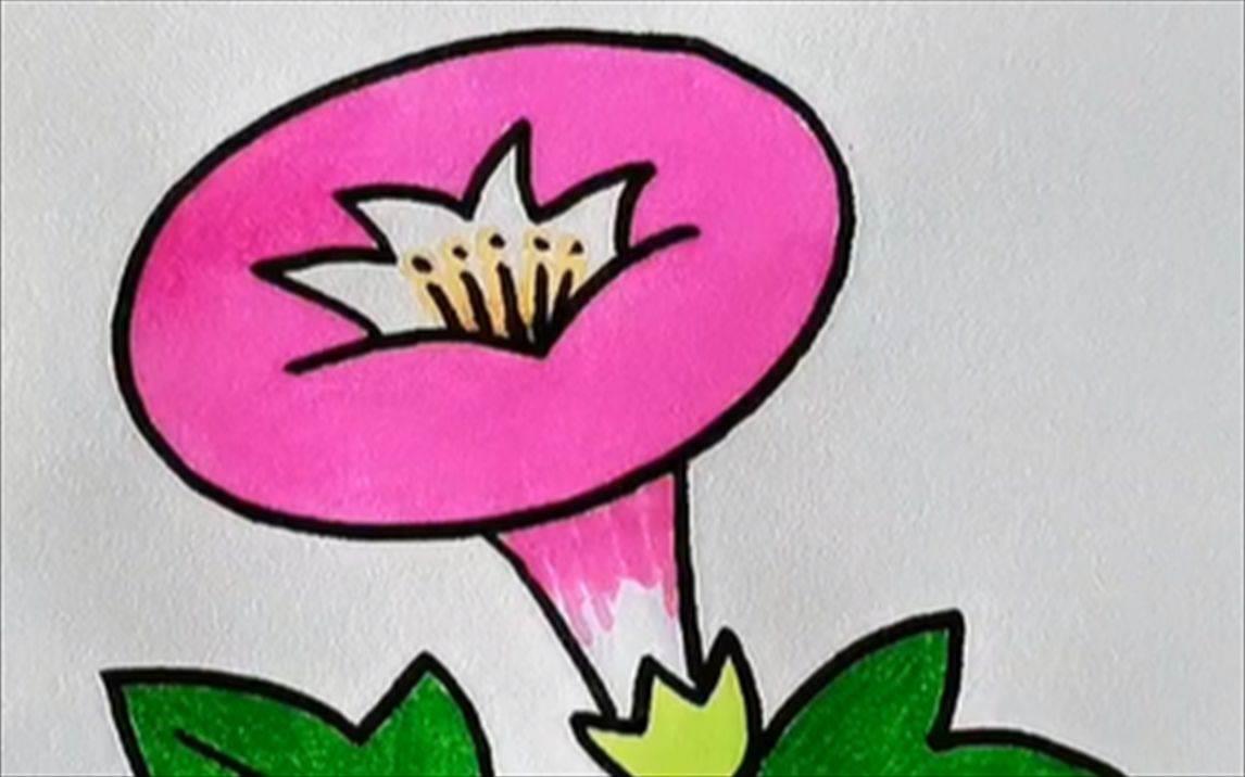 牵牛花简笔画 牵牛花简笔画图片