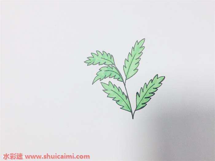 艾草怎么画 艾草简笔画步骤图解教程