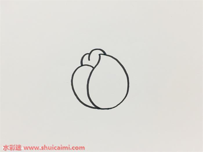 芍药怎么画 芍药简笔画简单彩色