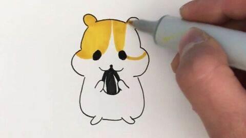 仓鼠简笔画 仓鼠简笔画大全可爱