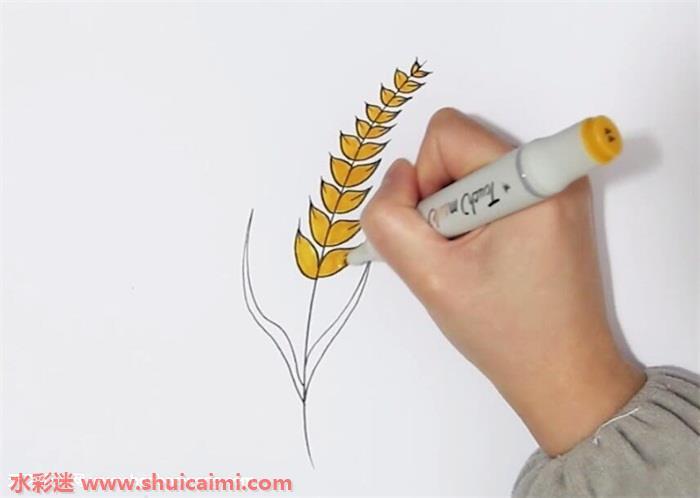 麦穗怎么画 麦穗简笔画图片大全带颜色