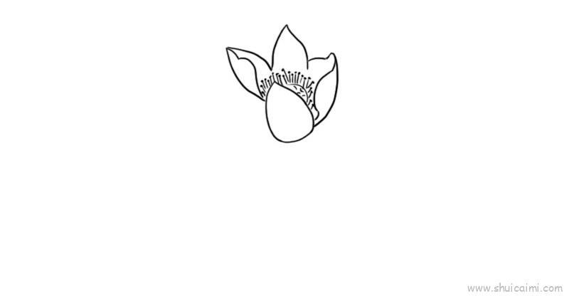 花儿童画怎么画 花简笔画简单又好看