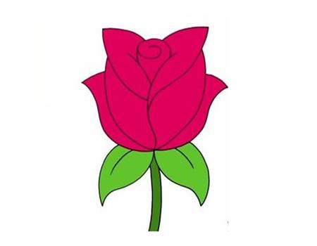 画玫瑰花的简笔画 画玫瑰花的简笔画一朵