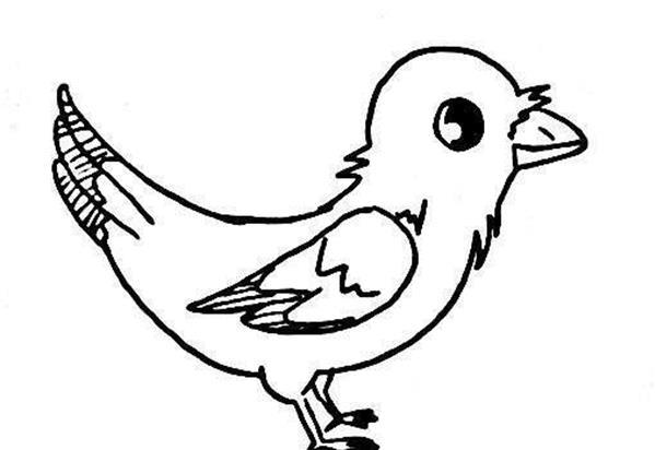 幼儿园画小鸟简笔画图片大全 小鸟的简笔画图片大全可爱 简单