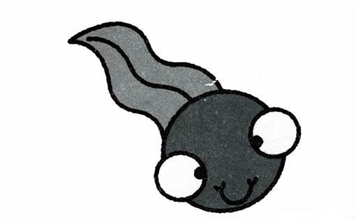 蝌蚪简笔画 蝌蚪简笔画彩色