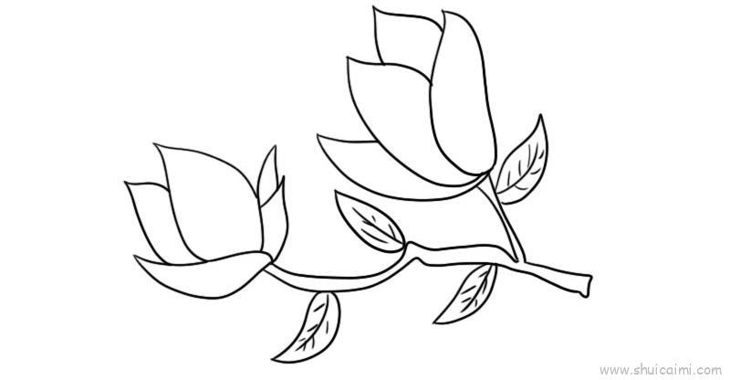 玉兰花儿童画怎么画 玉兰花简笔画好看