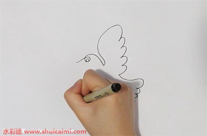 飞鸟怎么画 飞鸟简笔画图片带颜色