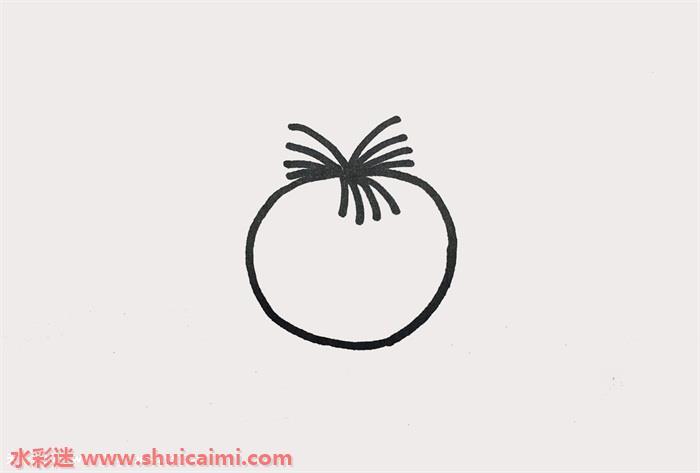 卡通动画的大耳朵图图简笔画步骤