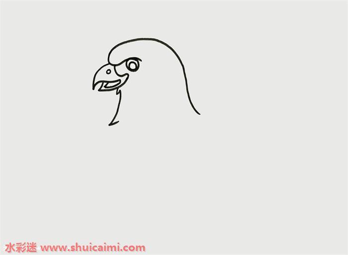 老鹰怎么画 老鹰简笔画步骤