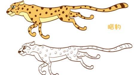 猎豹简笔画 奔跑的猎豹简笔画