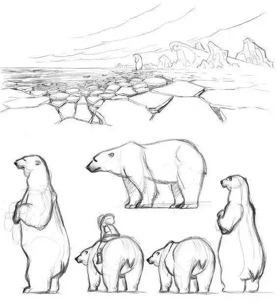 北极熊简笔画 北极熊简笔画图片