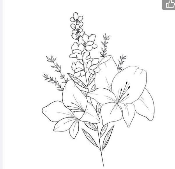 各种花简笔画图片大全 各种花简笔画图片大全大图
