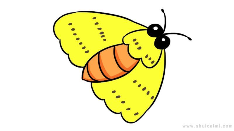 飞蛾简笔画怎么画 飞蛾简笔画画法