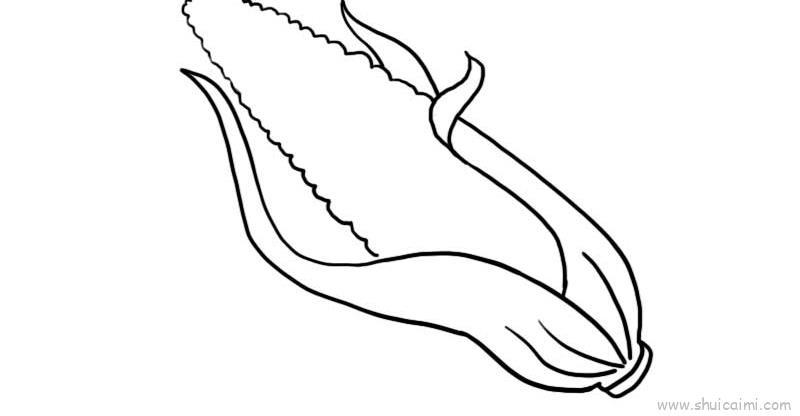 感恩节玉米儿童画怎么画 感恩节玉米简笔画图片大全