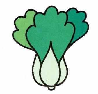 白菜怎么画简笔画 白菜怎么画简笔画简单
