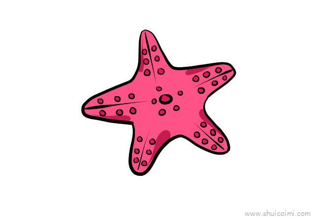 海星儿童画怎么画 海星简笔画画法